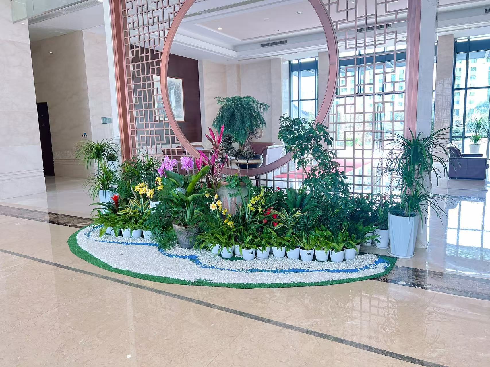 鄞州花木租赁专业